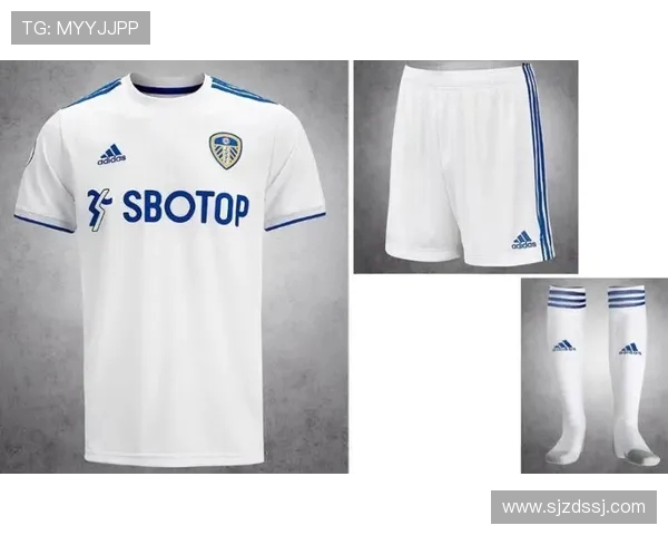 17-18赛季英超球衣详细设计对比