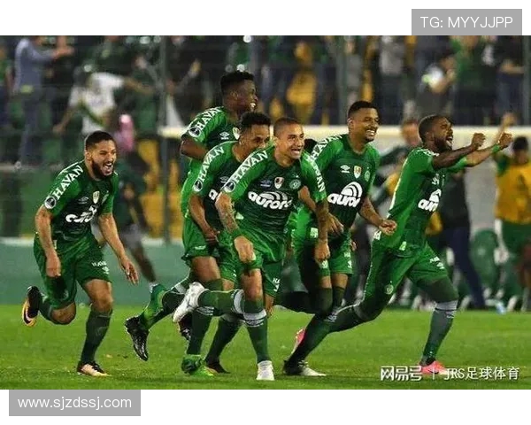 巴西甲联赛手机直播软件推荐与使用指南