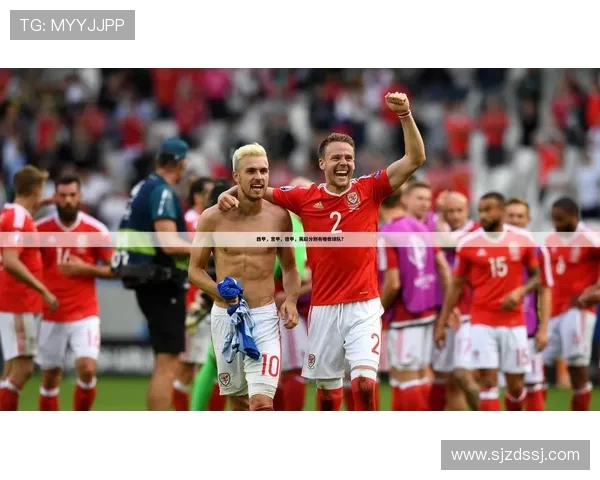 德甲球队俱乐部会员制度及球迷参与情况研究