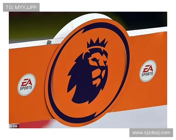 英超球队的财务报表与经济状况分析 英超球队的财务报表与经济状况分析