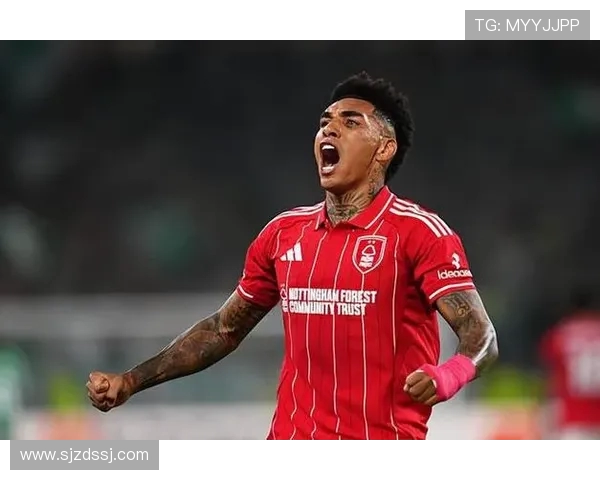 被称作“大黄蜂”的英超球队是哪支？绰号故事揭秘